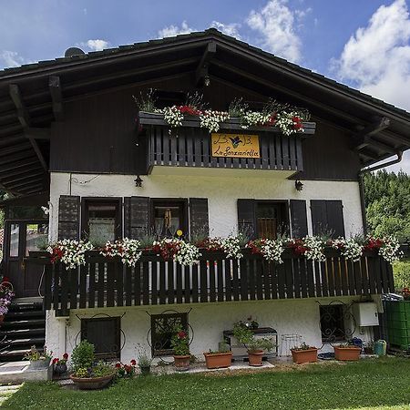 B&B La Genzianella Perarolo di Cadore Extérieur photo