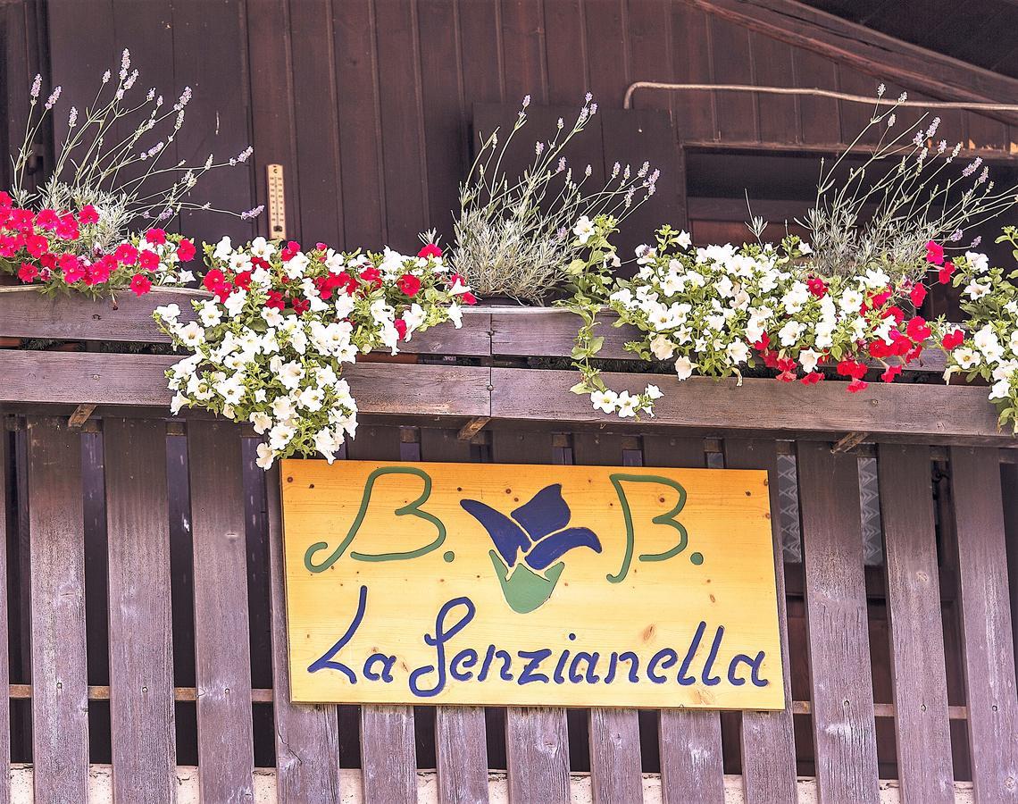 B&B La Genzianella Perarolo di Cadore Extérieur photo